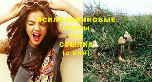 МДПВ Балахна