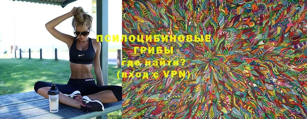 шишки Балабаново