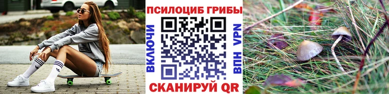 Галлюциногенные грибы Cubensis  Новосокольники 